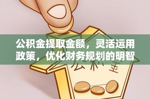 剑河公积金提取金额，灵活运用政策，优化财务规划的明智选择