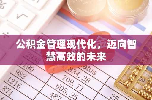 剑河公积金管理现代化，迈向智慧高效的未来