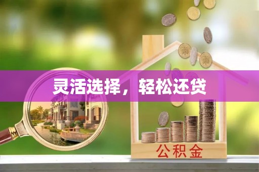 剑河灵活选择，轻松还贷