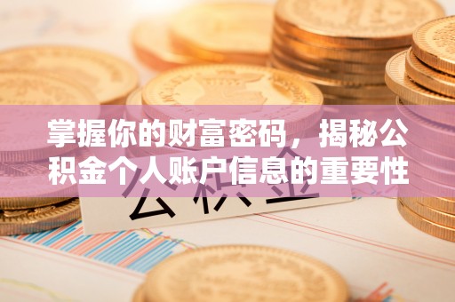 剑河掌握你的财富密码，揭秘公积金个人账户信息的重要性
